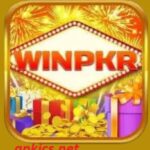 How to Download WINPKR APK on Android