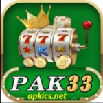 PAK 33 GAME, DOWNLOAD
