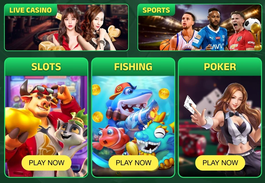 Why To Play PAK 33 VIP Game?